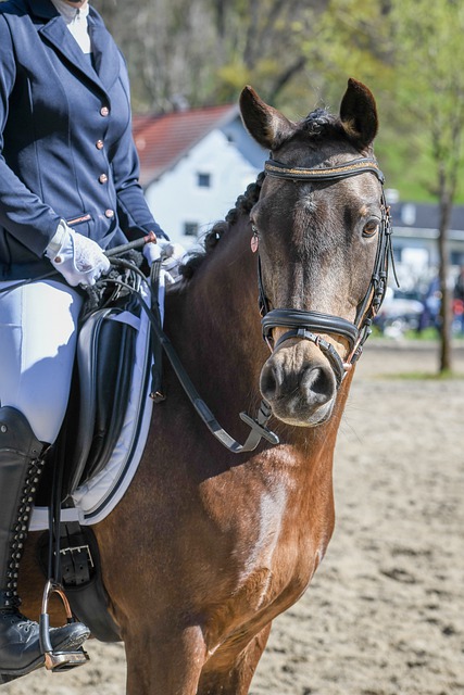 那么他很可 那么他很可