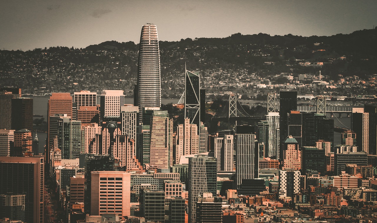 在预测如此 在预测如此