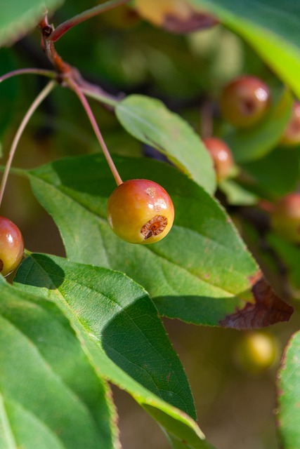 该公司重视 该公司重视