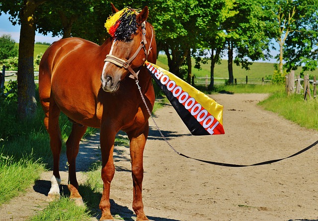 这种褒奖能 这种褒奖能