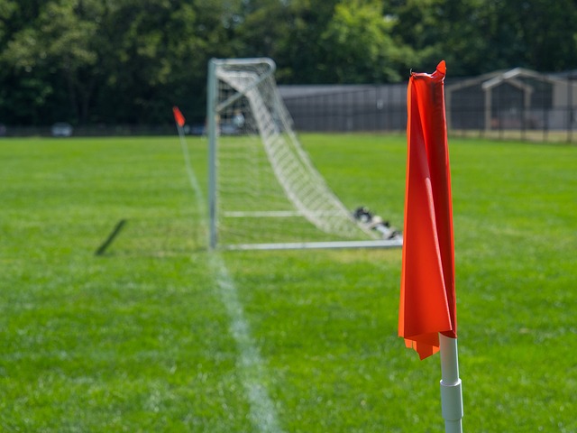 浙江队有效 浙江队有效