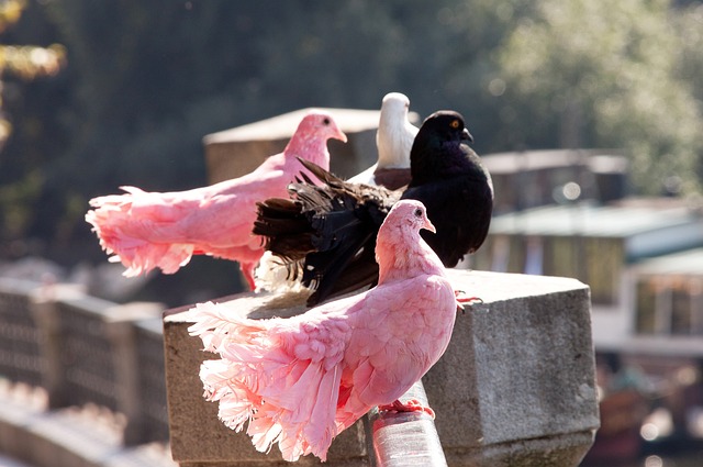 抢购体育赛 抢购体育赛