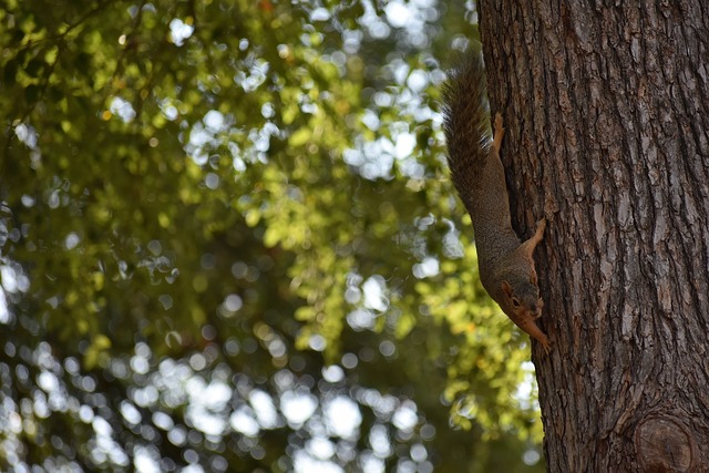 确保在任何 确保在任何