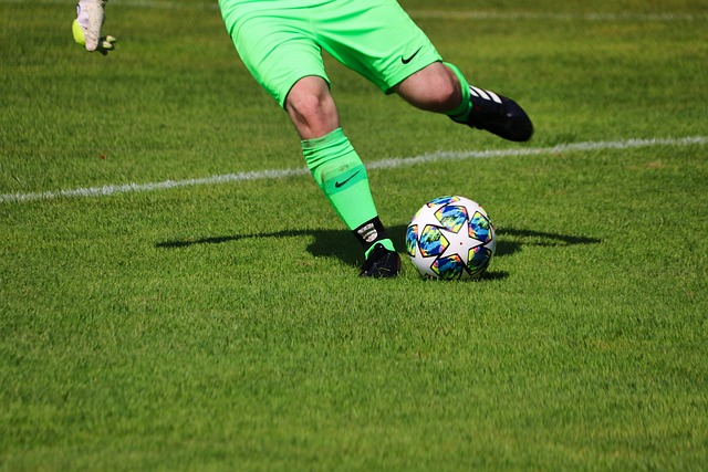 领域的学科 领域的学科